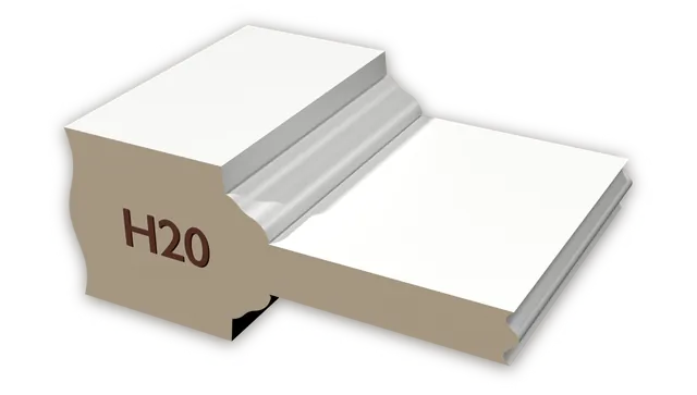 H-20