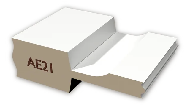 AE-21