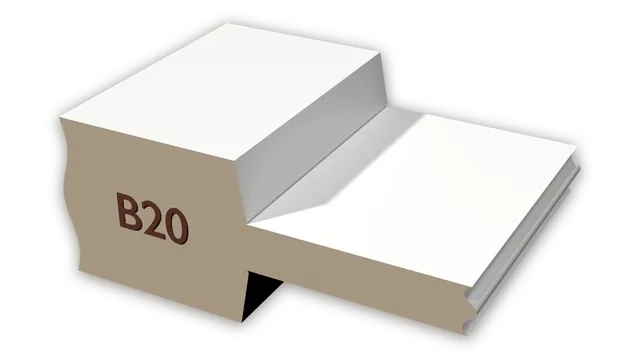 B-20